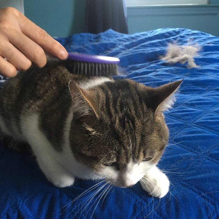 51736462 ec59 42a4 a47b 7df59803c76f 1633651727547