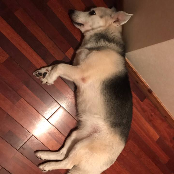 5173744c cdd5 4a98 b9d8 6a0a7d19d924 1564837289287