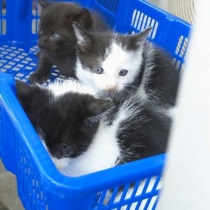 51739204 b929 47cb aab0 59a160c47f92 1556059023531