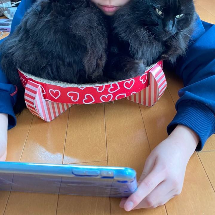 5173992a e35a 47cf 972a 2fc772f4e5cf 1577499771542