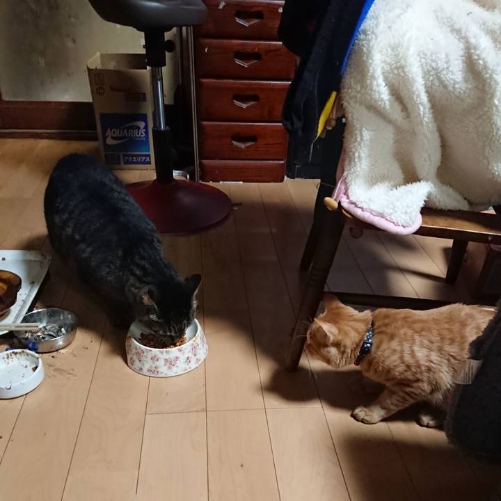 5173d198 7843 4a78 8a15 12614a9d4fe3 1636452339855