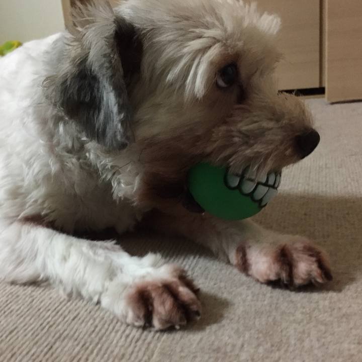 5173f452 2899 4f1e bd80 0260f3d980e1 1531306608360