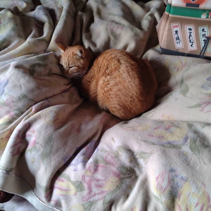 51746466 b3ae 49ee a4fe 7f3cd71832ca 1680645069783