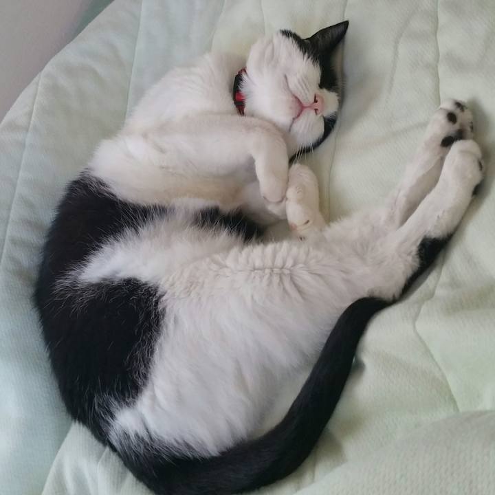 51747411 f116 4efb 86a1 944915a285c4 1537835693943