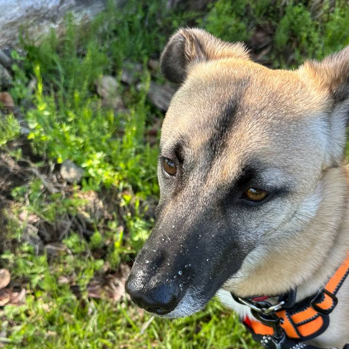 517495be 12af 4692 8152 288cd46242ce 1746076026532