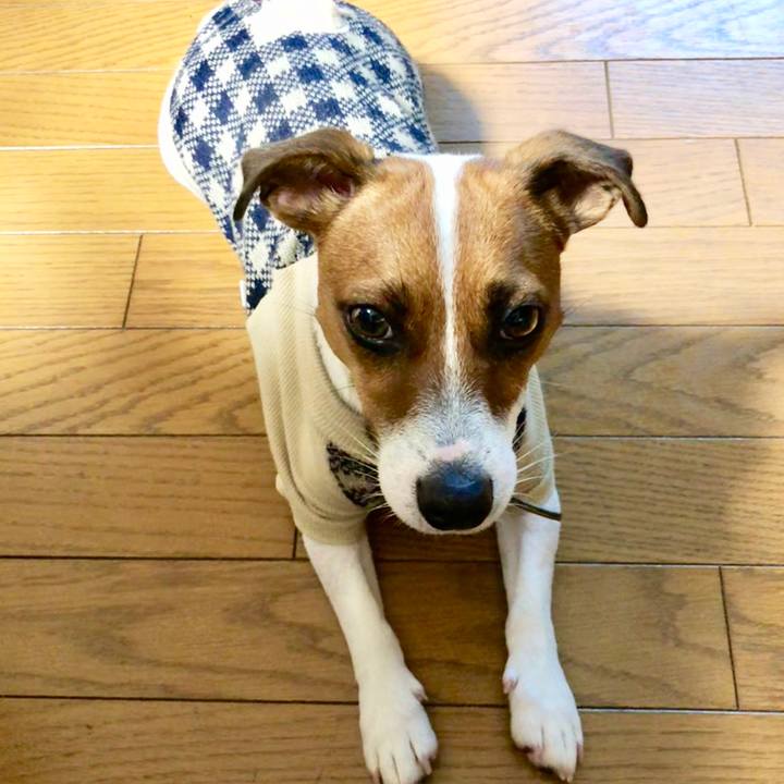 5174d24d bddd 44b3 baa4 e91acfedad36 1542007432725