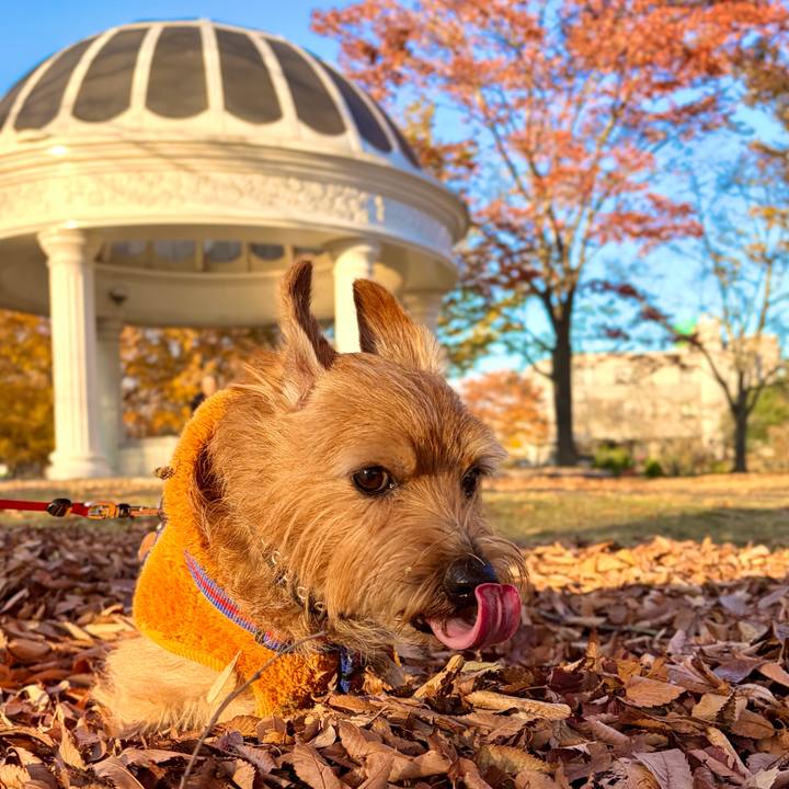 51751d8d a98b 4b2d bd6c f1892f333f6f 1763198442091