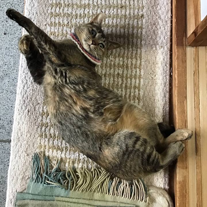 51751f00 12e2 4288 8bca 51b889dd772f 1618643885974