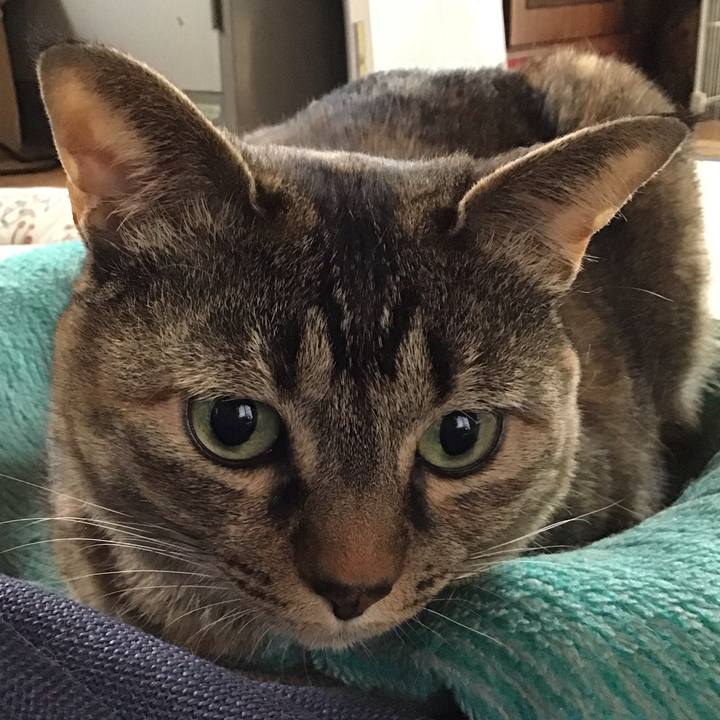 51751fb1 b6d8 4b74 abc3 0d1a25d695f0 1748146420141