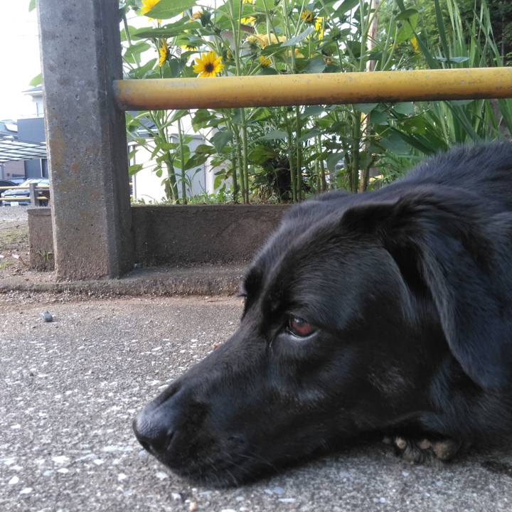 51752a6d c30d 463f 8906 bce3fdf030e9 1593943963880