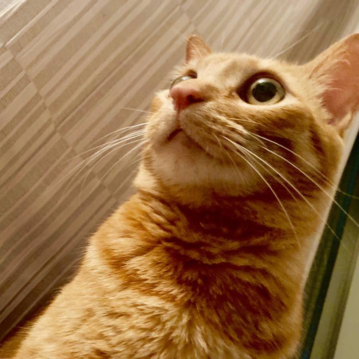 51752ff0 c25c 4988 9b75 bbb05e7d6443 1592228737251