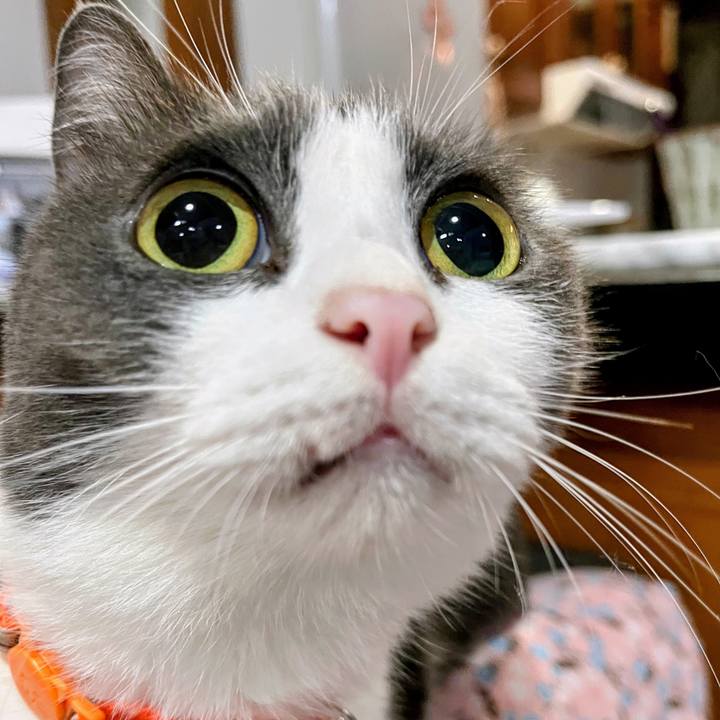 51754b37 60c3 4cdb 9700 183103d5e61e 1766321841372