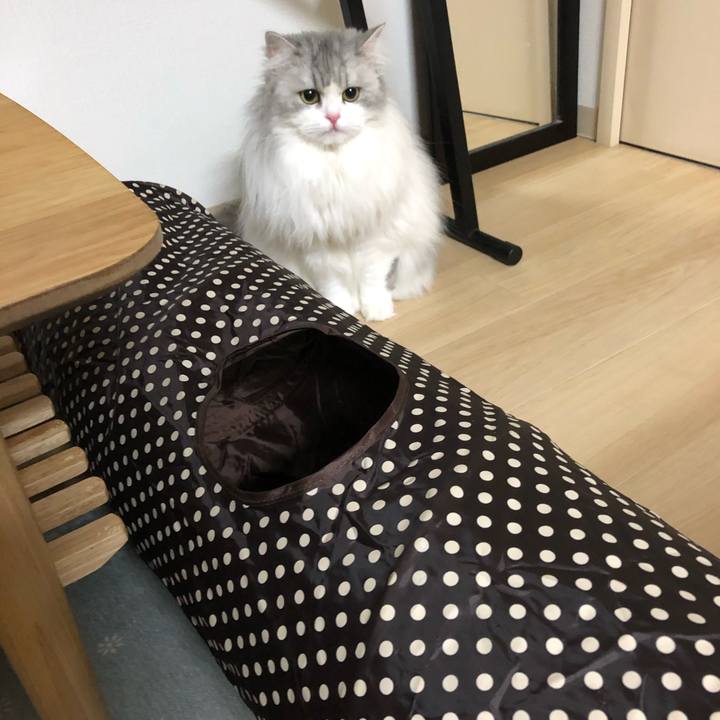 51756480 78ea 401e bcb8 2f522403bdf6 1581908247501