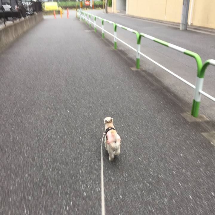 51758ff3 1358 4dfd af4e e5cd0f826ee7 1539415167328