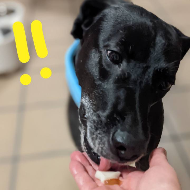 5175a8e8 424f 420e 8b89 4064fcb1f507 1656415749945