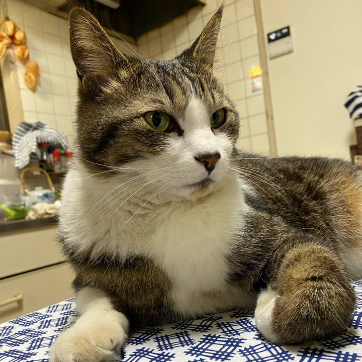 5175ae1d 1ec5 490b 8a70 dcd5741ff7bb 1585382652863