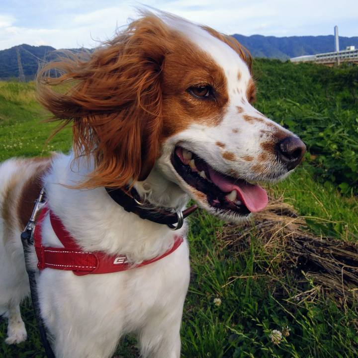 5175b304 8b33 45dd be5a 46146eae77ee 1530272977442