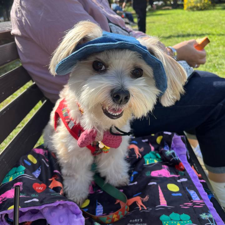 5175c15f 7cf5 46f0 9031 e2090c50e005 1760758015095