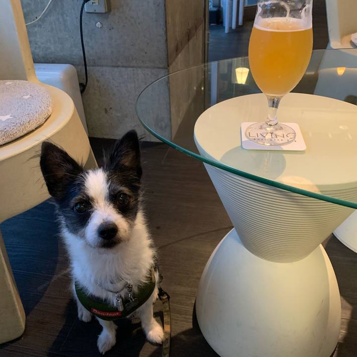 5175d59b 0359 456f befe bfdbf77885ba 1603524585871