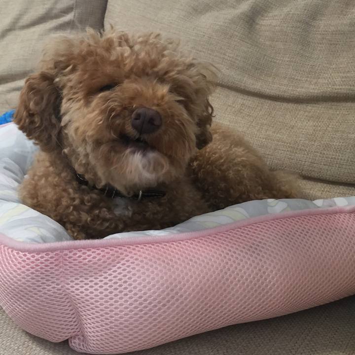 51760a11 dec6 48f7 9564 266cf5ed376d 1530743586800