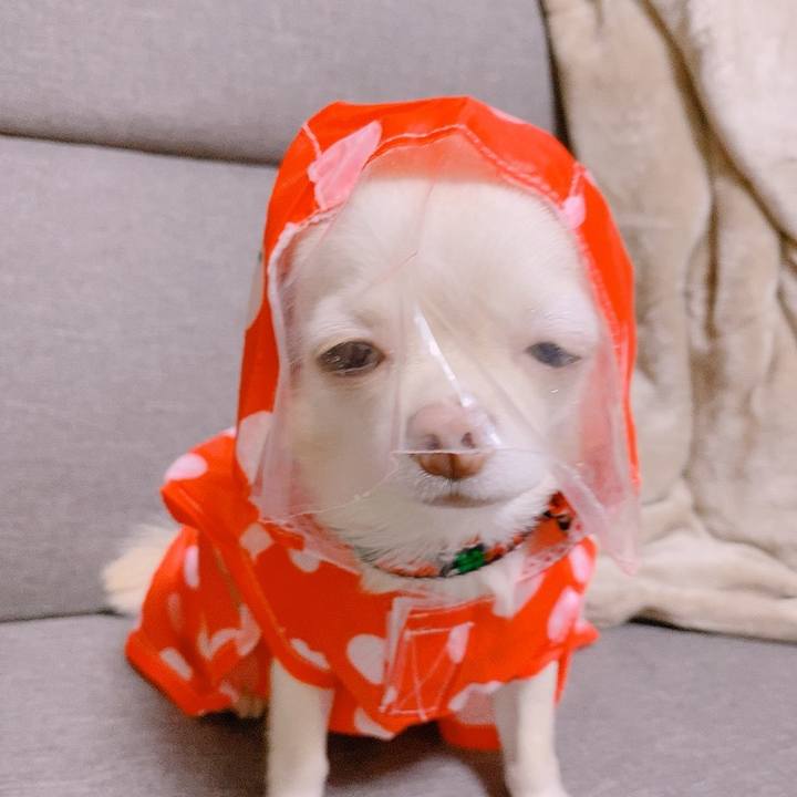 51762fbd 806f 4c82 aac5 42aba1691b24 1629508296480