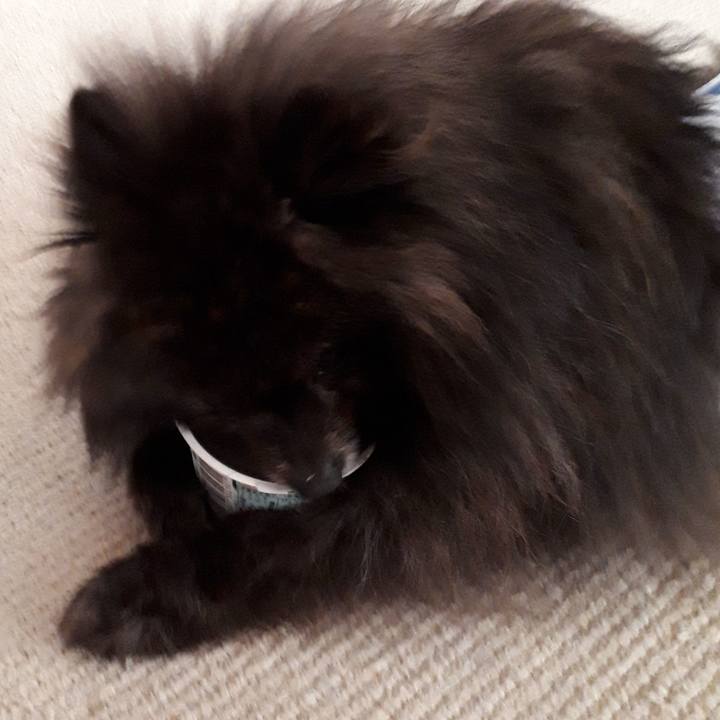 517649e4 20bc 488a 9b52 2f63fe8d3b56 1518051104357