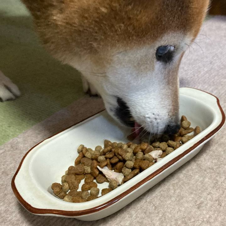 51765bc8 c0ff 4956 ba7d cc73cb4e8062 1710292237798