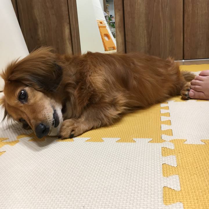 51767254 7703 4abc a5ae 25ade85432db 1557064054037