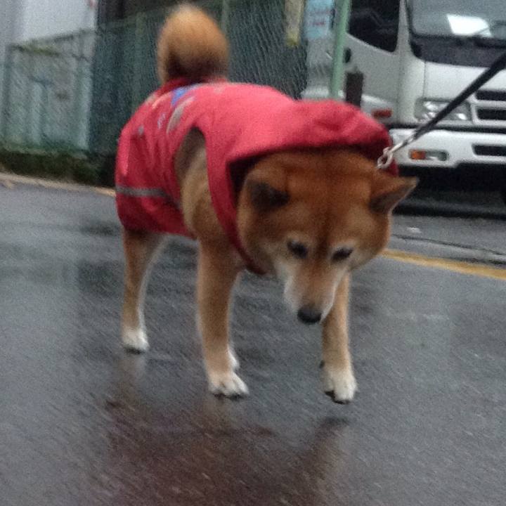 51767aa2 916a 4214 ab03 5f0006a9243e 1538297298514