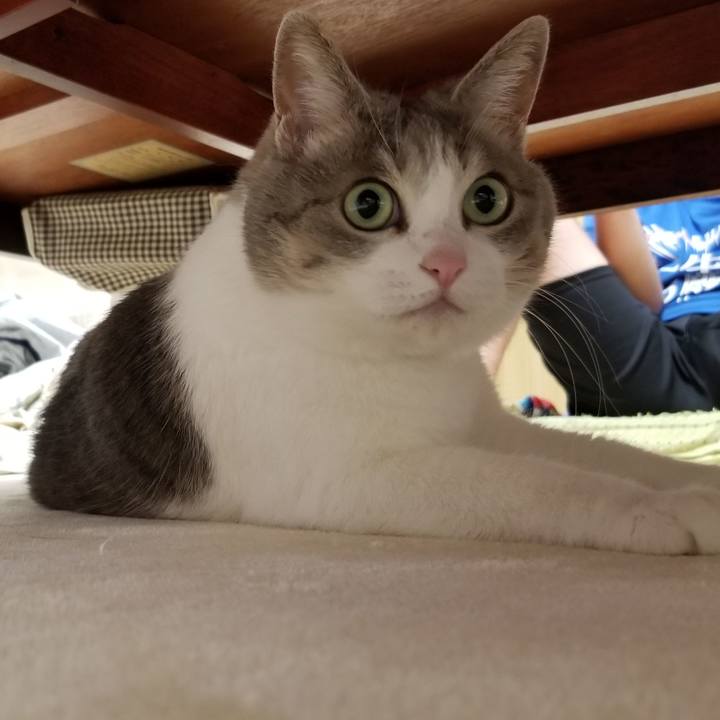 5176c22a dea1 481a 8477 8e4a9a114907 1666875897917