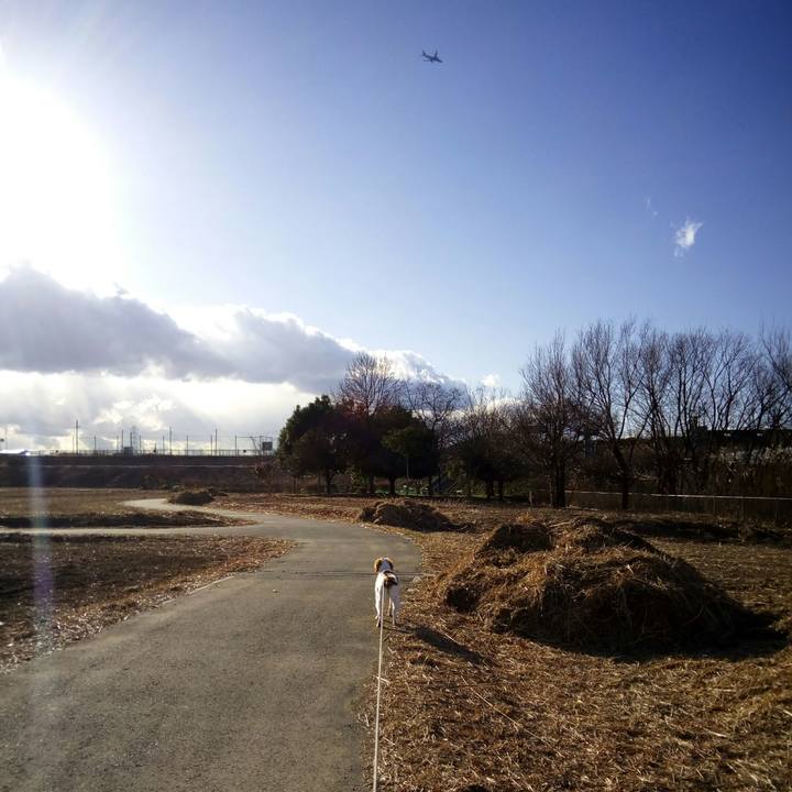 5176da61 515d 41ab b411 815c5dd6a0ea 1516782816274