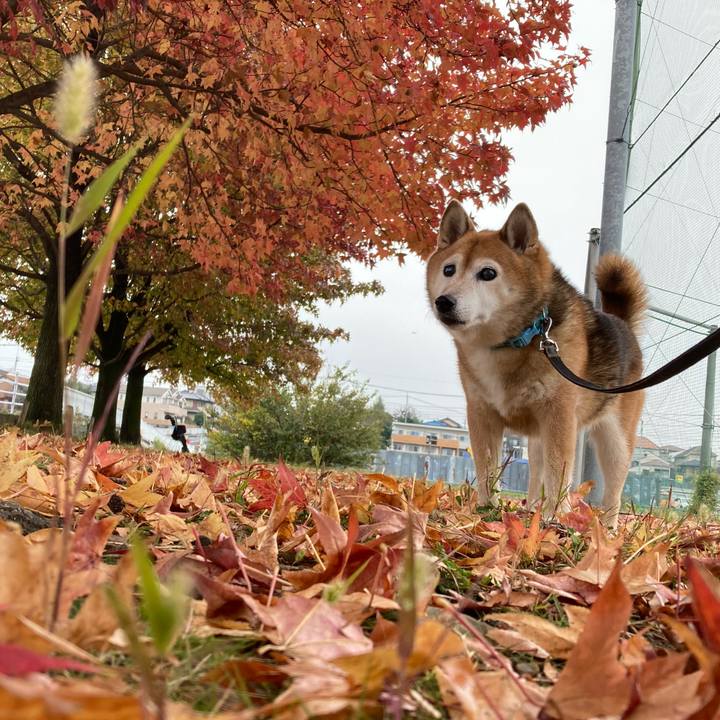 5176db4e 8cdd 4f08 b0a1 95c238225a64 1731644338421