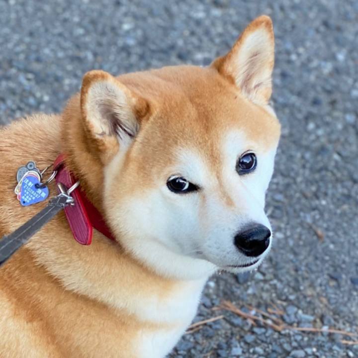 517705cd ba56 4f6f b2c8 96736cb3a7b6 1632921933109