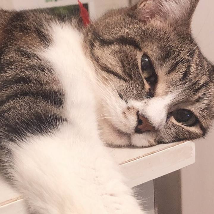 517708f6 479f 4a23 92f8 3a9ccc2b9908 1565392032997