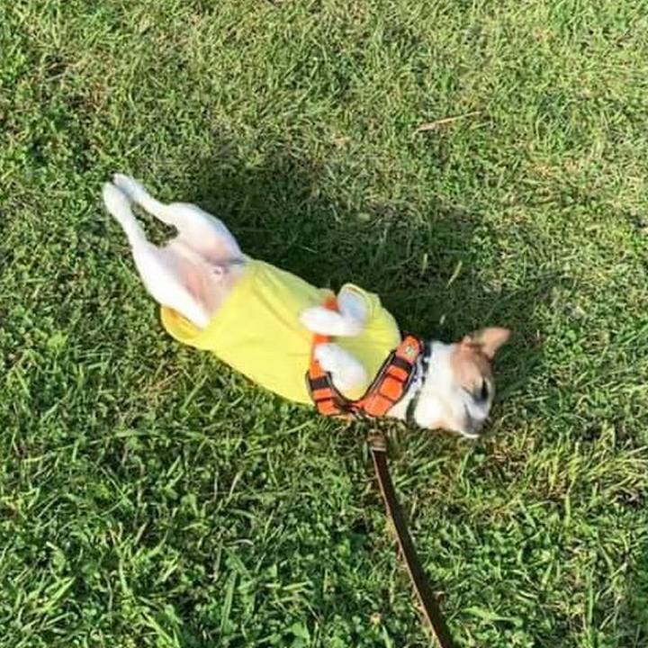 51772a1f 24e7 4c58 88b9 1682f03ea562 1687693191489