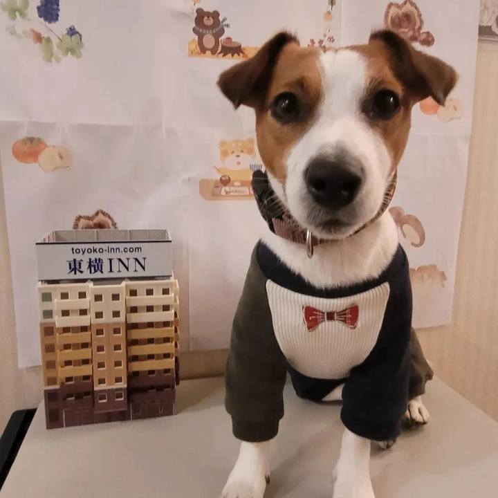 5177301f 9ea6 4132 b6ff 4b6e341ad6fe 1667823742833