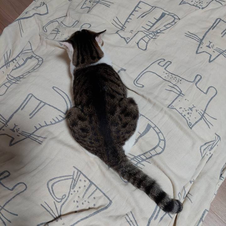 51775882 c299 483a a861 3a0aa482754e 1662725461669