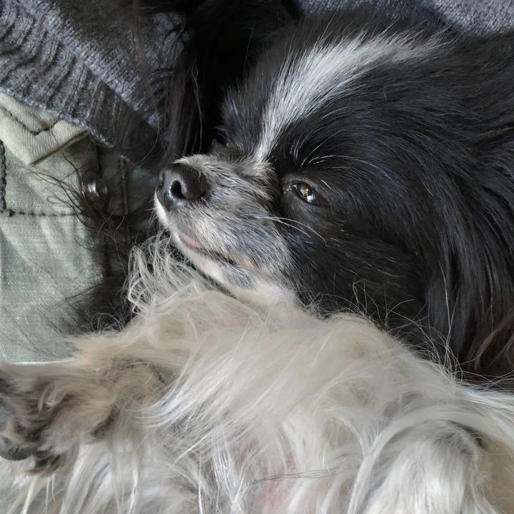 51775ebe ccf7 49ca 8827 2f28b59cfcba 1554070206083