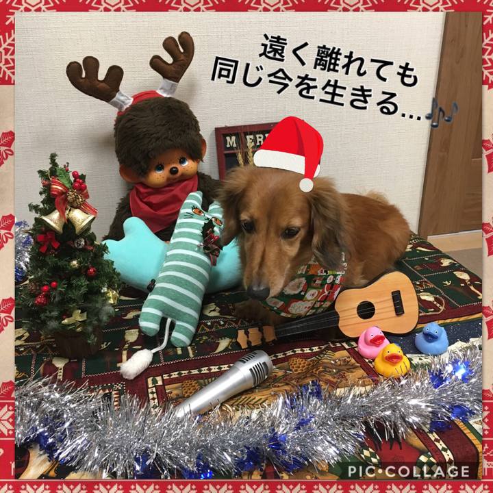 5177d0ea 2782 4e38 9d6c 06e8cab7c702 1545558364166