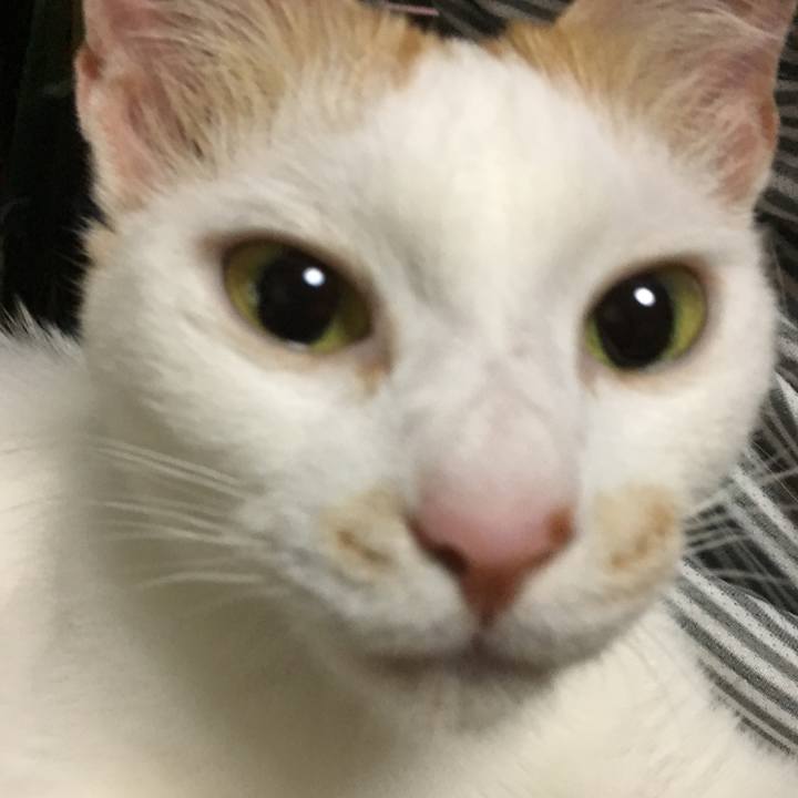 5177fd3a 2bf6 4dab a8aa 32860a823b66 1528545045227