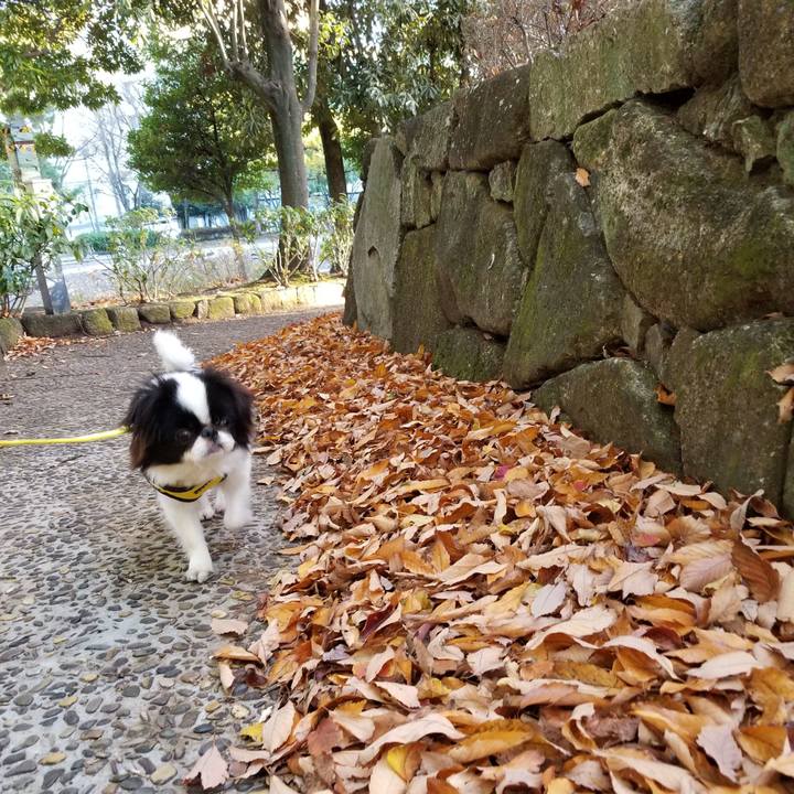 5178106a 11d5 4884 9cb9 80f65ee3af0e 1638001064374