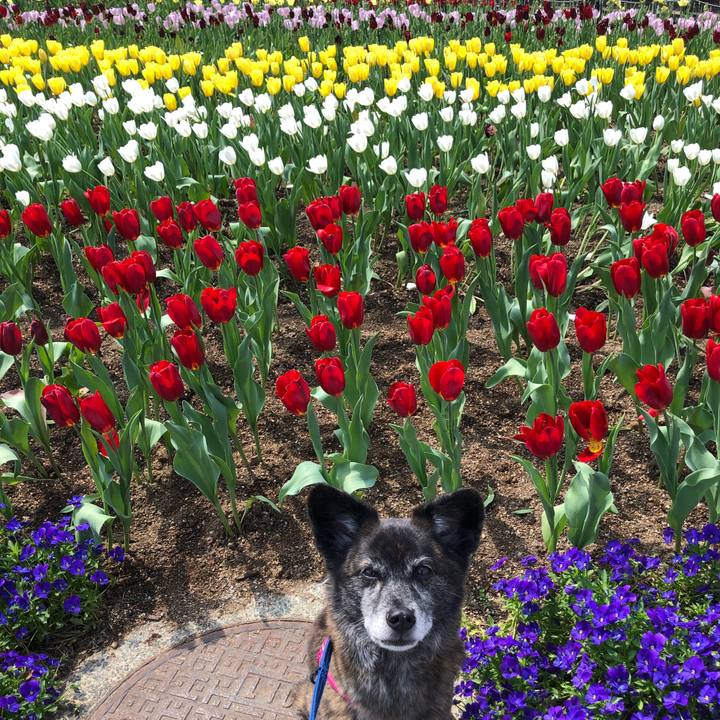 5178246e 8f67 48c6 93df 834feebd7af7 1650120634407