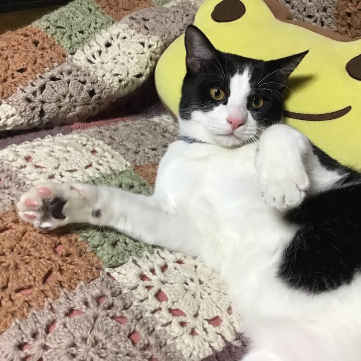 517825a2 1d55 4218 a7c3 dc4c6cc40614 1638003983317