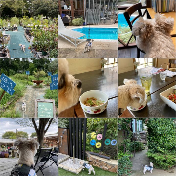 51783335 e6e3 435f a00e a003f832144d 1600504172191