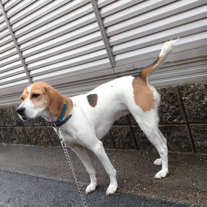 5178b8b2 de8d 4d42 9f13 15e0405f60f1 1603457434305