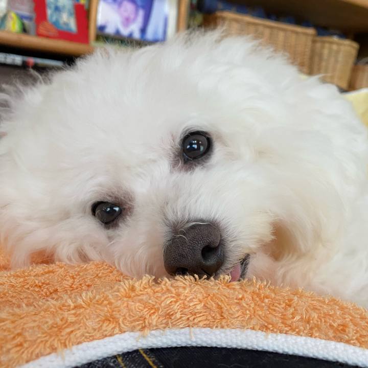 5178b950 0a9a 4bc1 b6d1 f5c9c0c77a9d 1660551338019