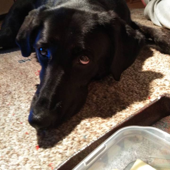 5178d359 479f 4d94 9dd4 8c4a14a42f8c 1587988134498