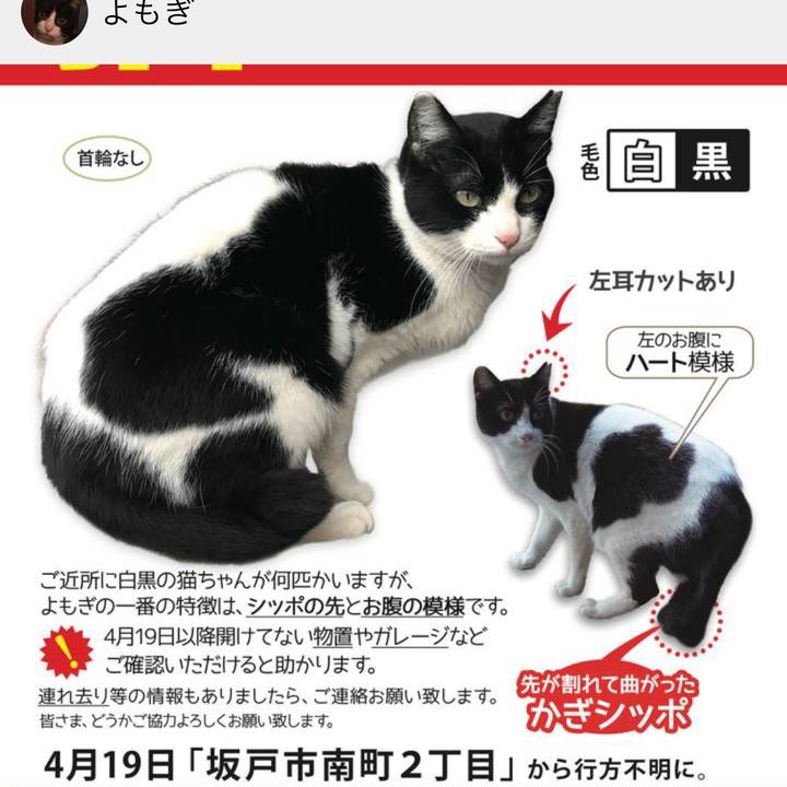 517925f4 67cc 465c 8f63 d6bdebf5e4d3 1557199746080