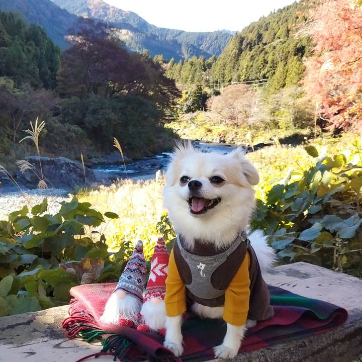 51794ad1 0fe5 4c9b 993d 5ac99a90222d 1700724566468