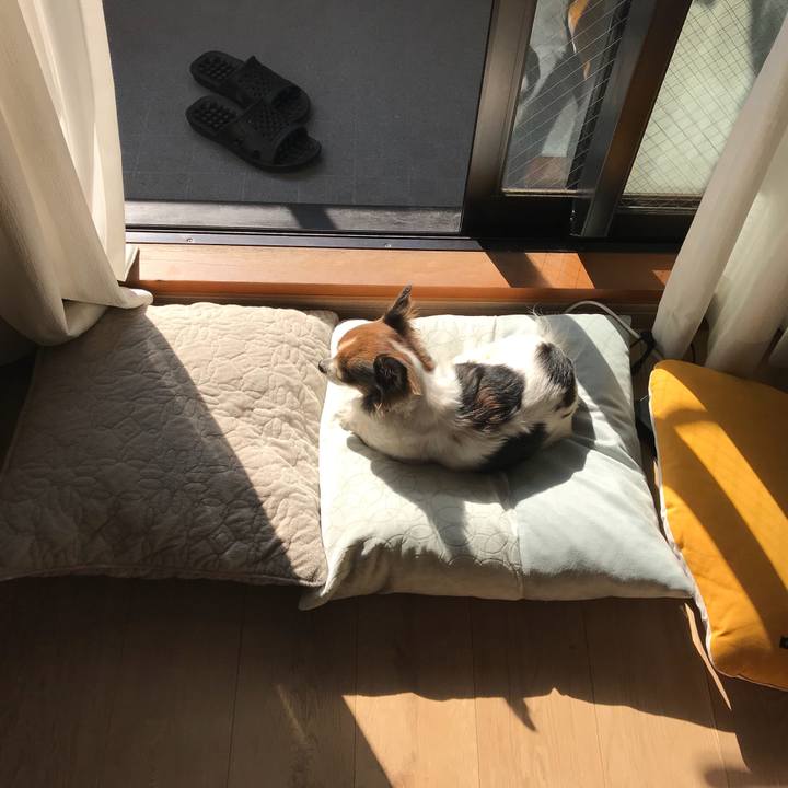 5179514a 8a94 4e47 b40c c1c0d8a73025 1517367039770